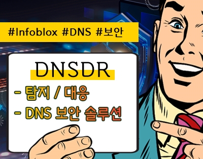 사이버 위협 환경에서의 새로운 보안 전략, 
DNSDR에 주목해야..