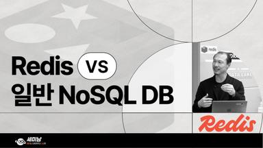 일반 NoSQL DB와 Redis가 다른 점은?