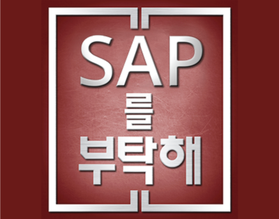 중국 및 해외 SAP시스템 운영 이슈 해결을 위한, 해외 현지 운영..