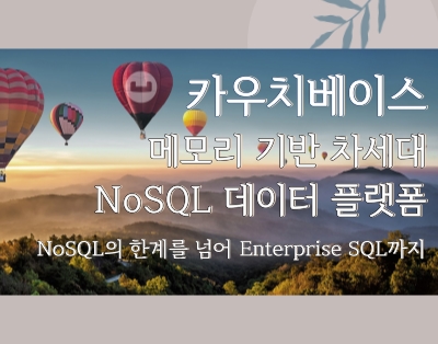 카우치베이스 - 메모리 기반의 차세대 NoSQL 데이터 플랫폼 : ..